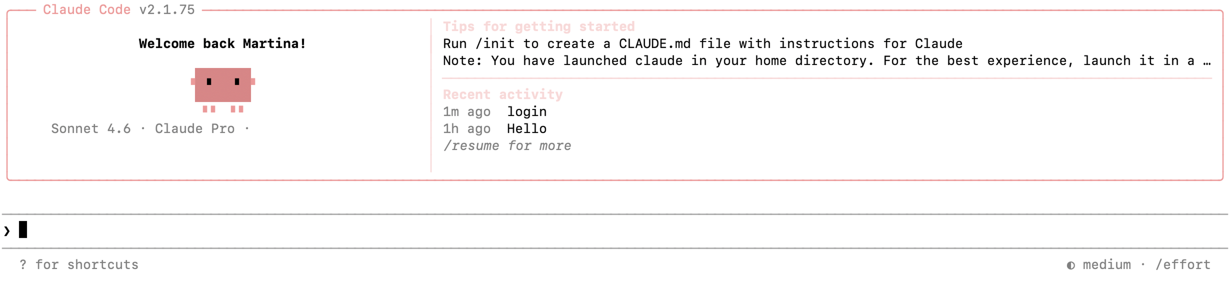 Claude Code welcome screen